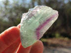 Natural Watermelon Fluorite Cobbed Specimens x 35 From Uis, Namibia - Toprock Gemstones and Minerals 