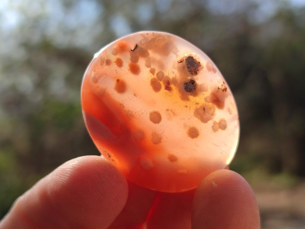 Polished Small Flower Agate Jewellery Free Forms x 70 From Antsahalova, Madagascar - Toprock Gemstones and Minerals 