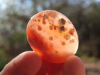 Polished Small Flower Agate Jewellery Free Forms x 70 From Antsahalova, Madagascar - Toprock Gemstones and Minerals 