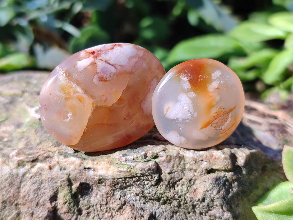 Polished Small Flower Agate Jewellery Free Forms x 70 From Antsahalova, Madagascar - Toprock Gemstones and Minerals 