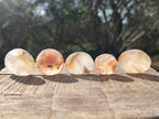 Polished Small Flower Agate Jewellery Free Forms x 70 From Antsahalova, Madagascar - Toprock Gemstones and Minerals 