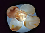 Polished Small Flower Agate Jewellery Free Forms x 70 From Antsahalova, Madagascar - Toprock Gemstones and Minerals 