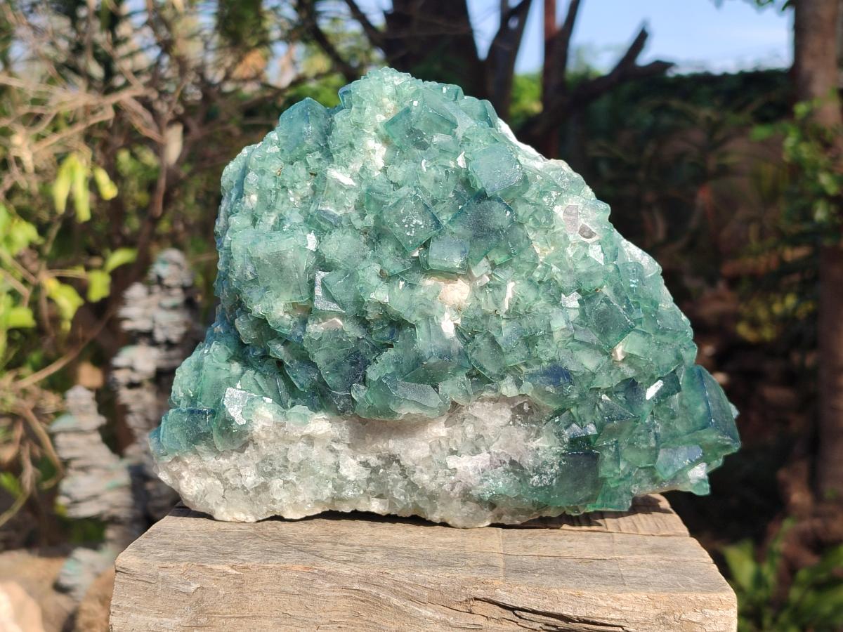 Natural Large Green Cubic Fluorite Specimen x 1 From Mandrosonoro, Madagascar - Toprock Gemstones and Minerals 