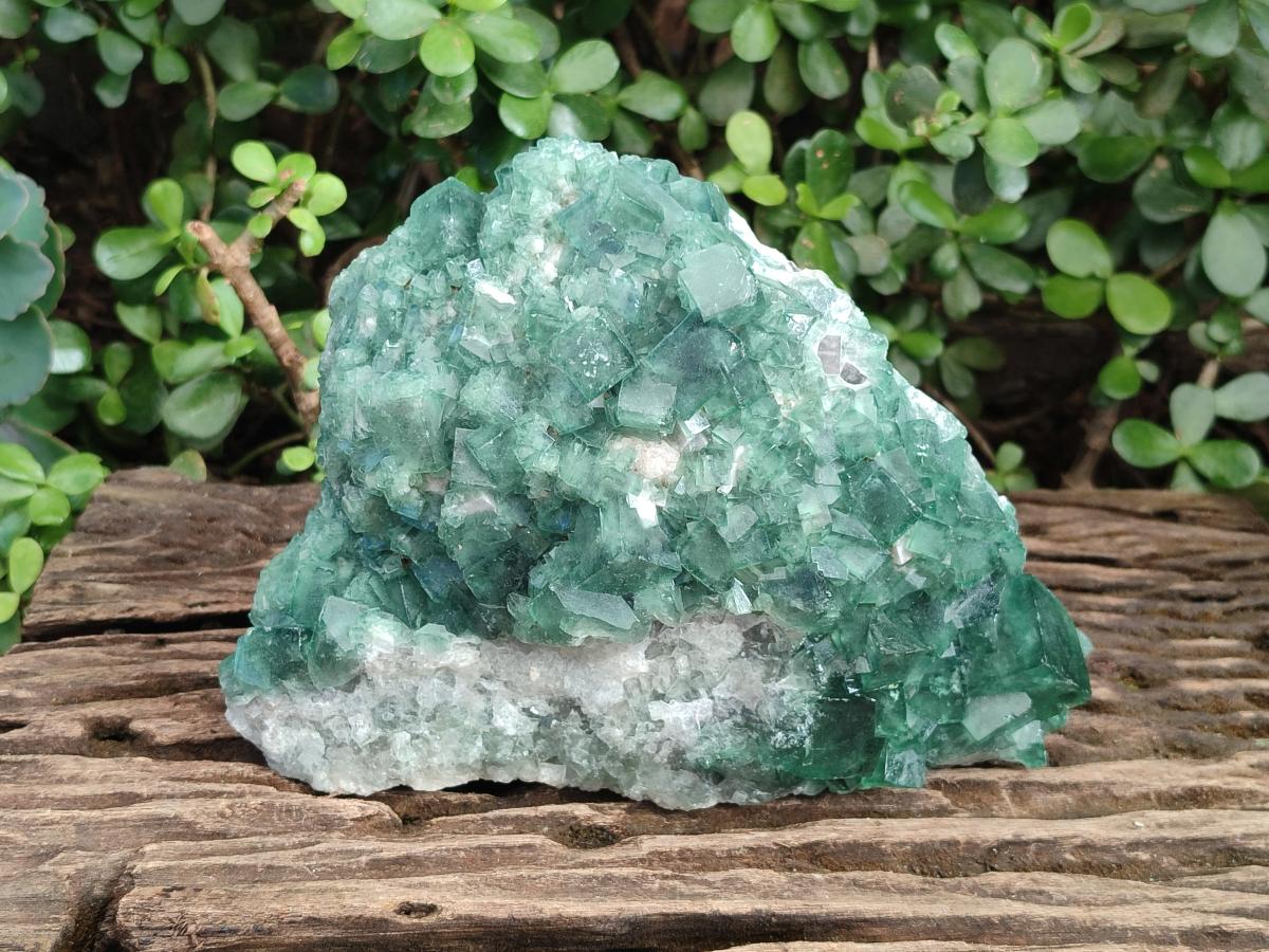 Natural Large Green Cubic Fluorite Specimen x 1 From Mandrosonoro, Madagascar - Toprock Gemstones and Minerals 