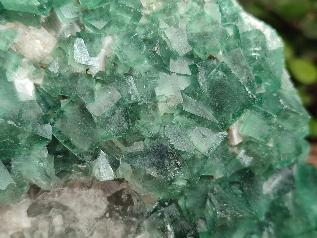 Natural Large Green Cubic Fluorite Specimen x 1 From Mandrosonoro, Madagascar - Toprock Gemstones and Minerals 
