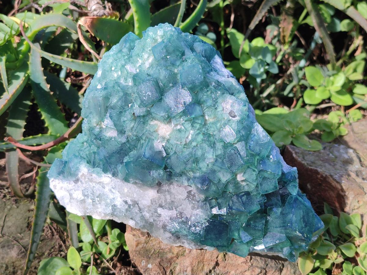 Natural Large Green Cubic Fluorite Specimen x 1 From Mandrosonoro, Madagascar - Toprock Gemstones and Minerals 