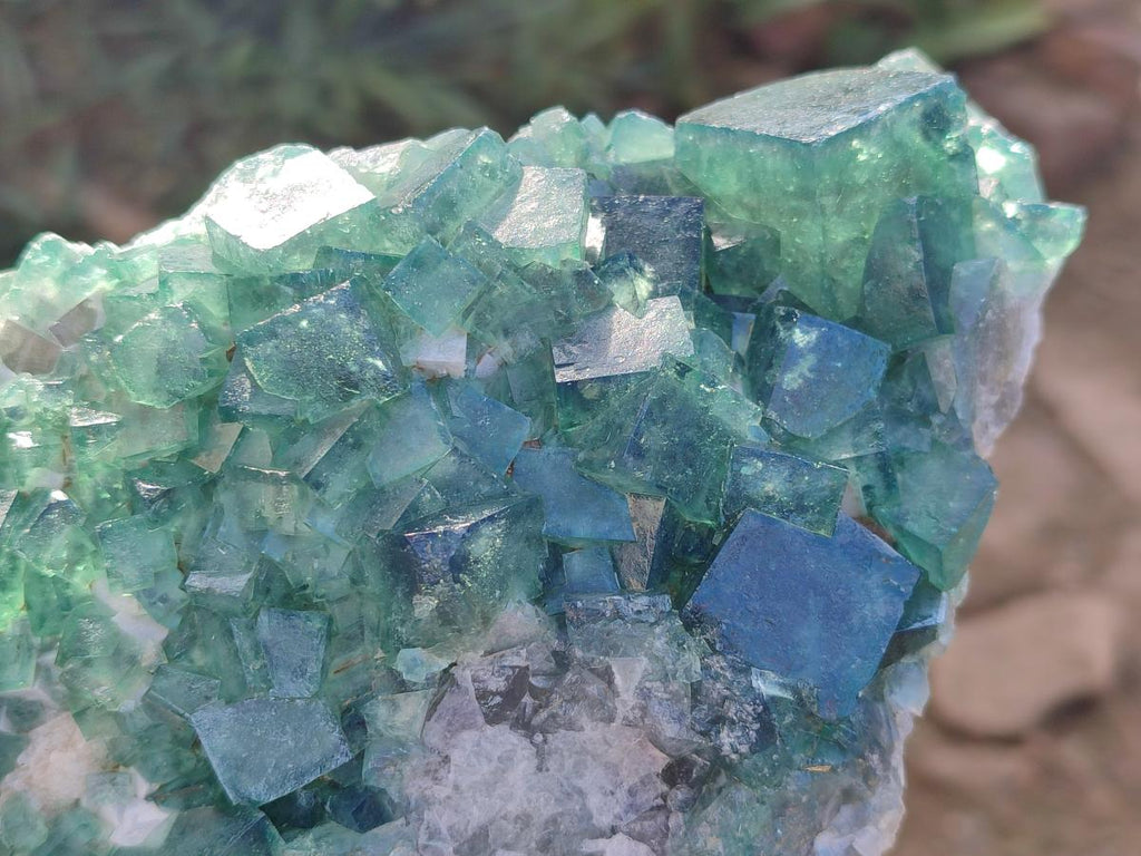 Natural Large Green Cubic Fluorite Specimen x 1 From Mandrosonoro, Madagascar - Toprock Gemstones and Minerals 