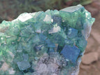 Natural Large Green Cubic Fluorite Specimen x 1 From Mandrosonoro, Madagascar - Toprock Gemstones and Minerals 