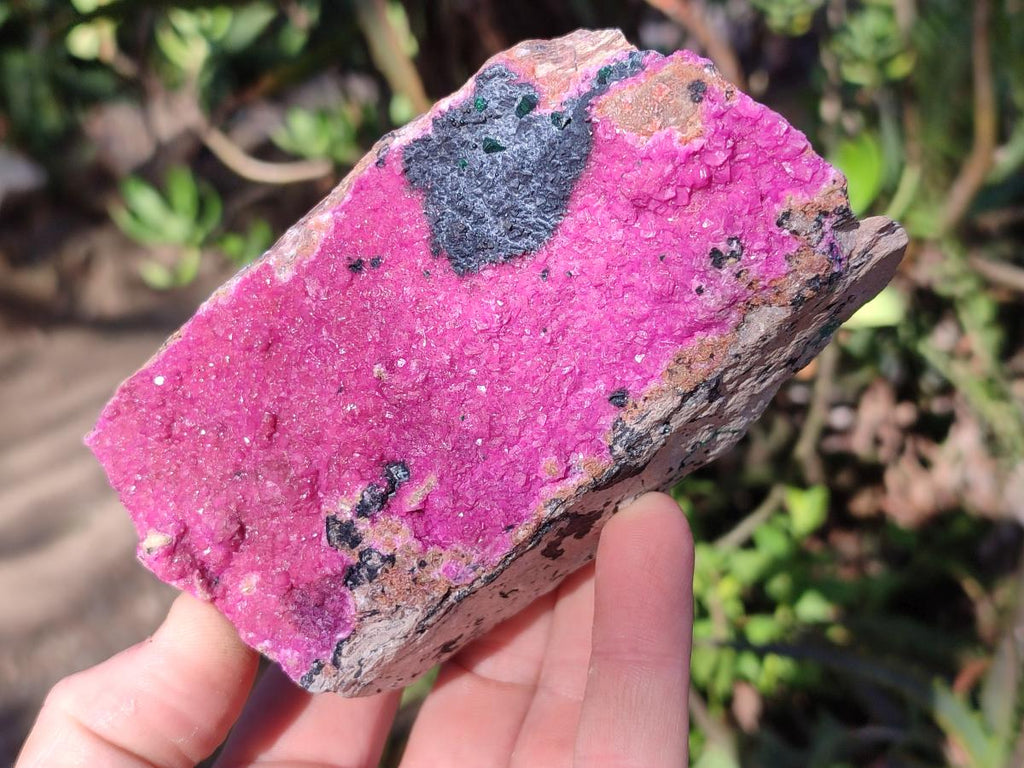 Natural Large Cabinet Sized Salrose Cobaltoan Dolomite Specimens x 3 From Kakanda, Congo - Toprock Gemstones and Minerals 