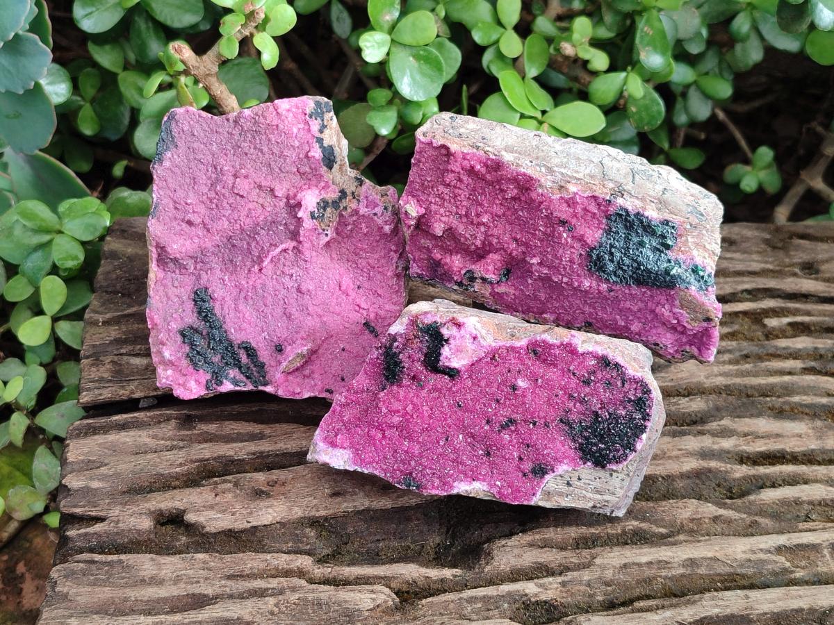 Natural Large Cabinet Sized Salrose Cobaltoan Dolomite Specimens x 3 From Kakanda, Congo - Toprock Gemstones and Minerals 