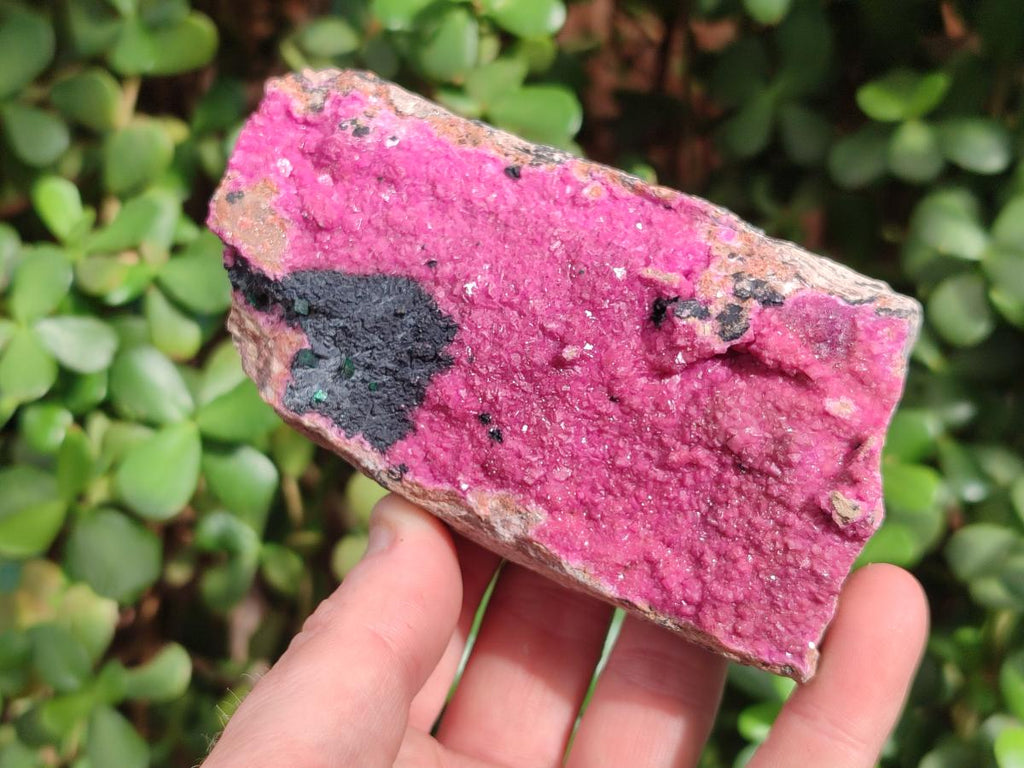 Natural Large Cabinet Sized Salrose Cobaltoan Dolomite Specimens x 3 From Kakanda, Congo - Toprock Gemstones and Minerals 