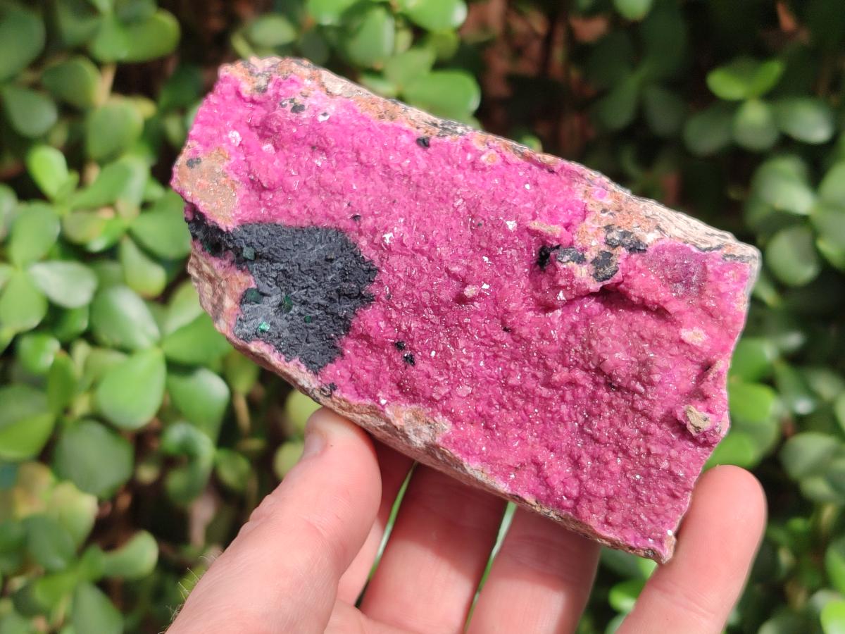 Natural Large Cabinet Sized Salrose Cobaltoan Dolomite Specimens x 3 From Kakanda, Congo - Toprock Gemstones and Minerals 