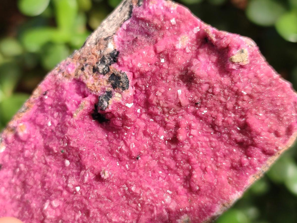 Natural Large Cabinet Sized Salrose Cobaltoan Dolomite Specimens x 3 From Kakanda, Congo - Toprock Gemstones and Minerals 