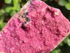 Natural Large Cabinet Sized Salrose Cobaltoan Dolomite Specimens x 3 From Kakanda, Congo - Toprock Gemstones and Minerals 