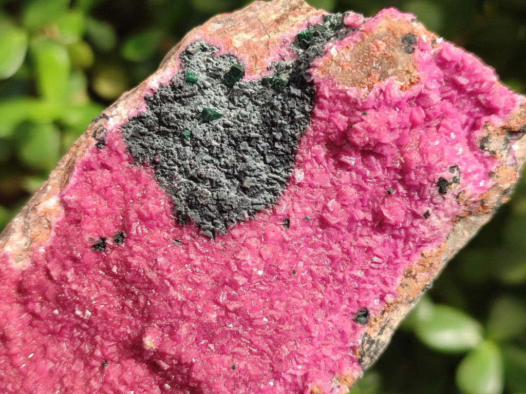 Natural Large Cabinet Sized Salrose Cobaltoan Dolomite Specimens x 3 From Kakanda, Congo - Toprock Gemstones and Minerals 