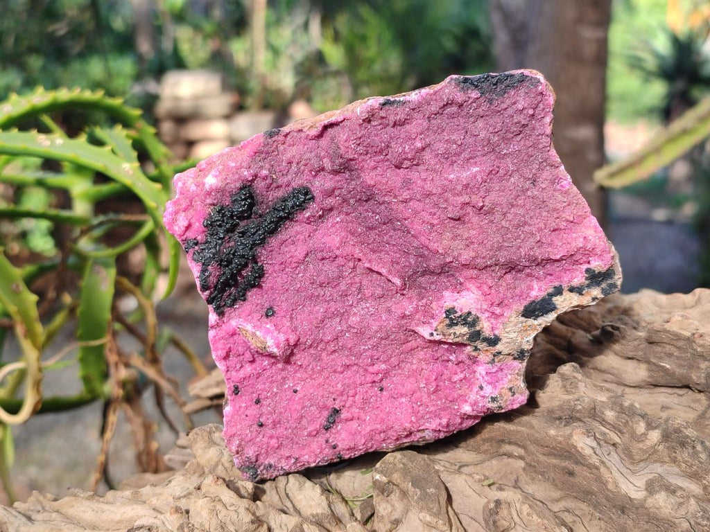 Natural Large Cabinet Sized Salrose Cobaltoan Dolomite Specimens x 3 From Kakanda, Congo - Toprock Gemstones and Minerals 
