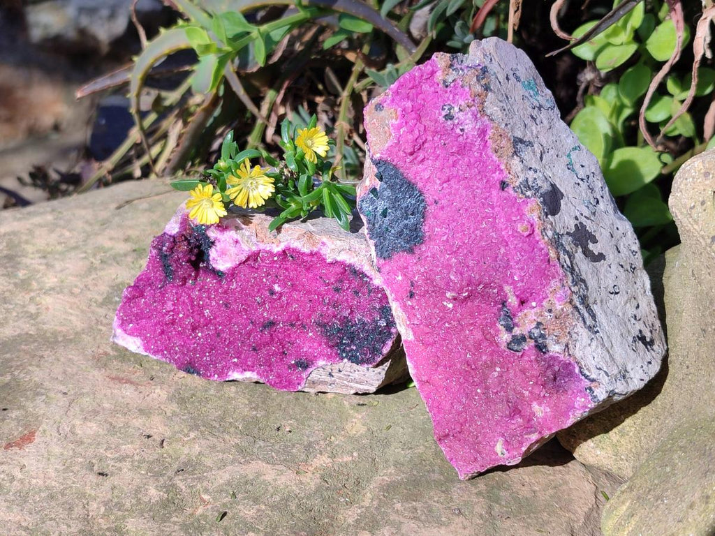 Natural Large Cabinet Sized Salrose Cobaltoan Dolomite Specimens x 3 From Kakanda, Congo - Toprock Gemstones and Minerals 