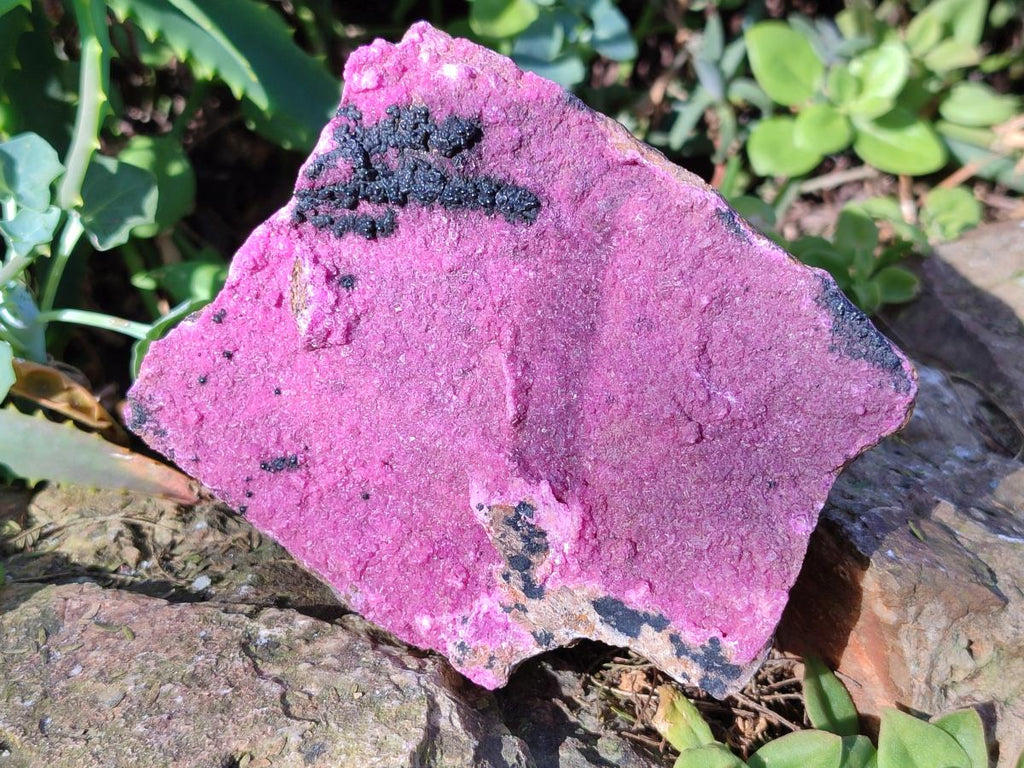 Natural Large Cabinet Sized Salrose Cobaltoan Dolomite Specimens x 3 From Kakanda, Congo - Toprock Gemstones and Minerals 