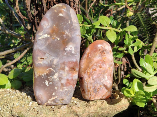 Polished Flower Agate Standing Display Pieces x 3 From Antsahalova, Madagascar - Toprock Gemstones and Minerals 