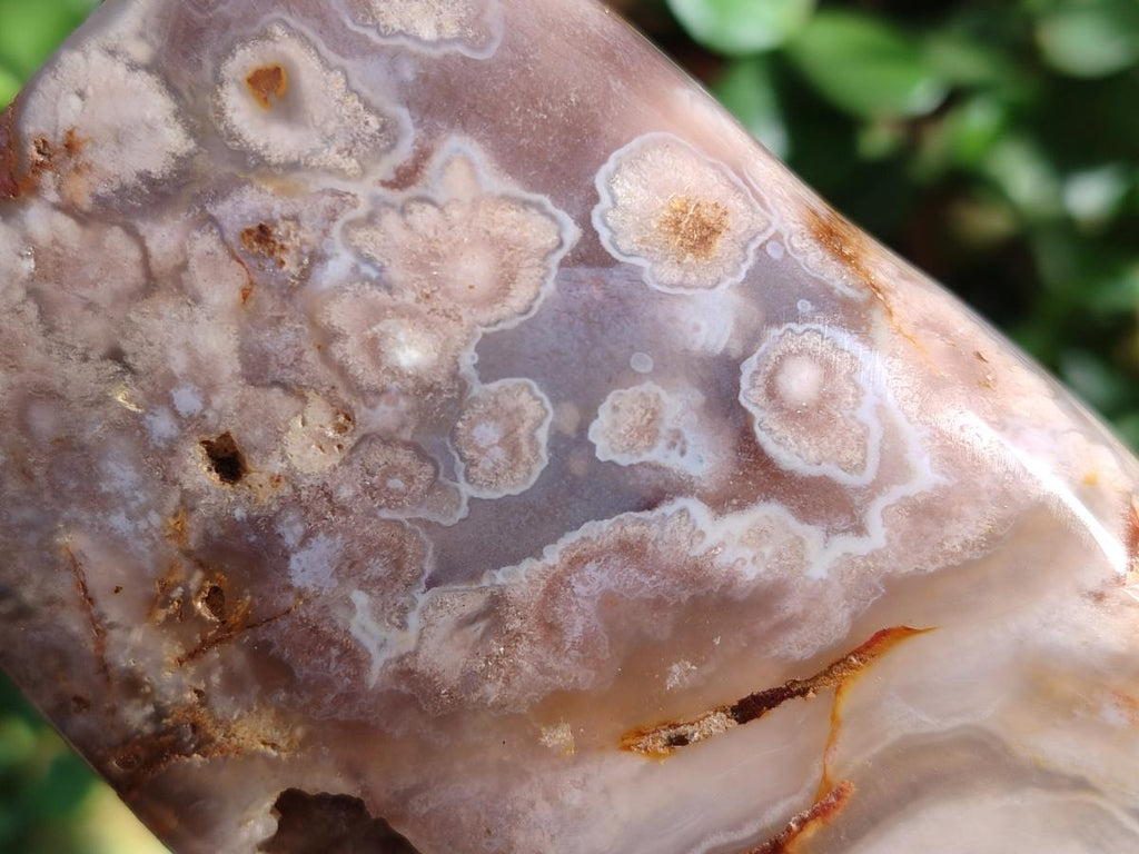 Polished Flower Agate Standing Display Pieces x 3 From Antsahalova, Madagascar - Toprock Gemstones and Minerals 