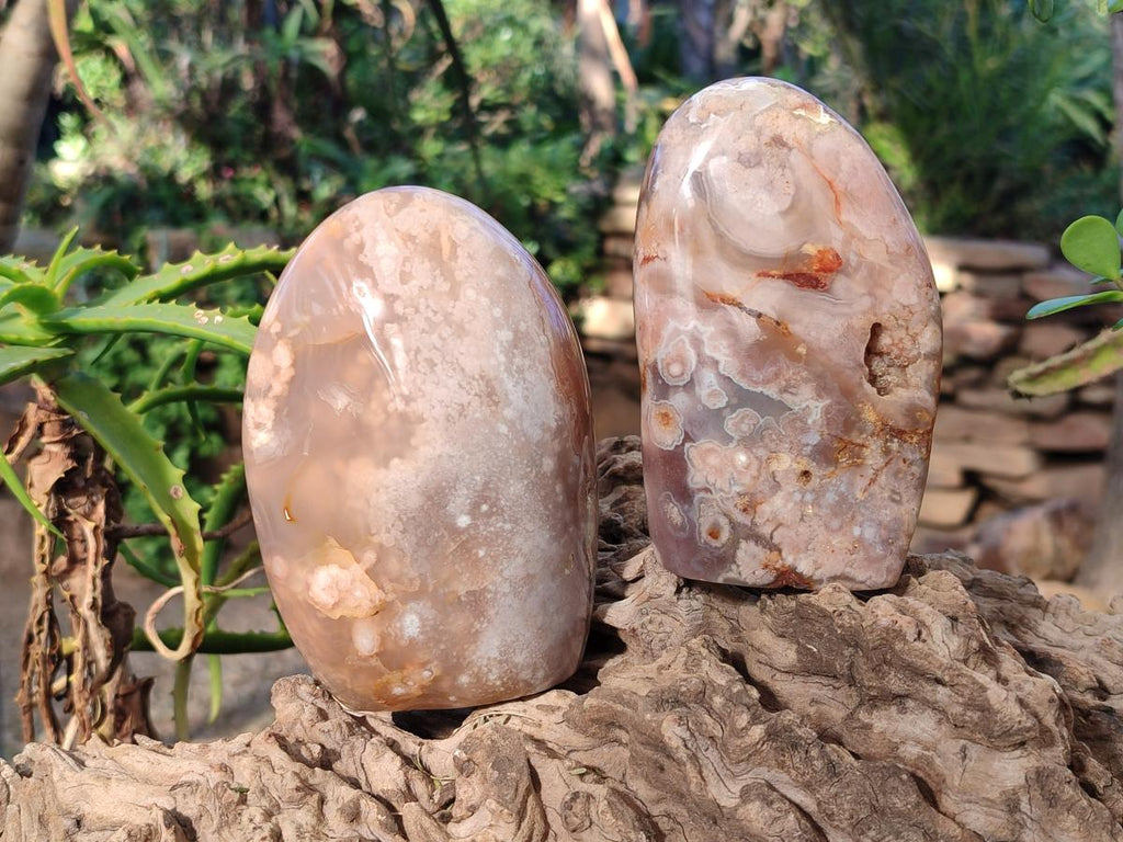 Polished Flower Agate Standing Display Pieces x 3 From Antsahalova, Madagascar - Toprock Gemstones and Minerals 