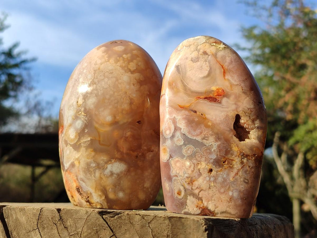 Polished Flower Agate Standing Display Pieces x 3 From Antsahalova, Madagascar - Toprock Gemstones and Minerals 