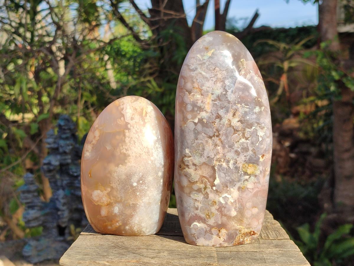 Polished Flower Agate Standing Display Pieces x 3 From Antsahalova, Madagascar - Toprock Gemstones and Minerals 