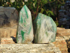 Polished Buddstone Display Crystals x 6 From Swaziland - Toprock Gemstones and Minerals 