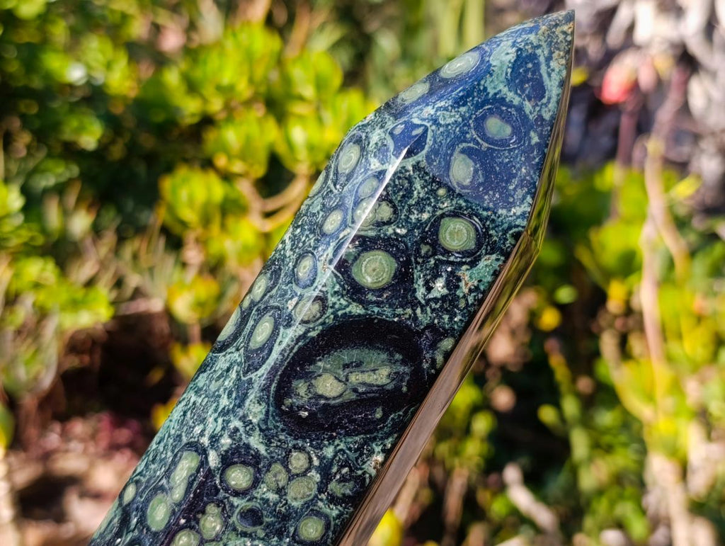 Polished XL Stromatolite "Kambamba Jasper" Display Crystal x 1 From Katsepy, Madagascar