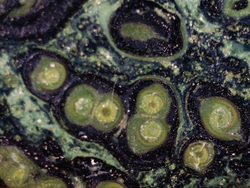 Polished XL Stromatolite "Kambamba Jasper" Display Crystal x 1 From Katsepy, Madagascar