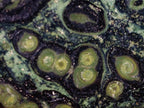 Polished XL Stromatolite "Kambamba Jasper" Display Crystal x 1 From Katsepy, Madagascar