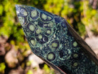Polished XL Stromatolite "Kambamba Jasper" Display Crystal x 1 From Katsepy, Madagascar