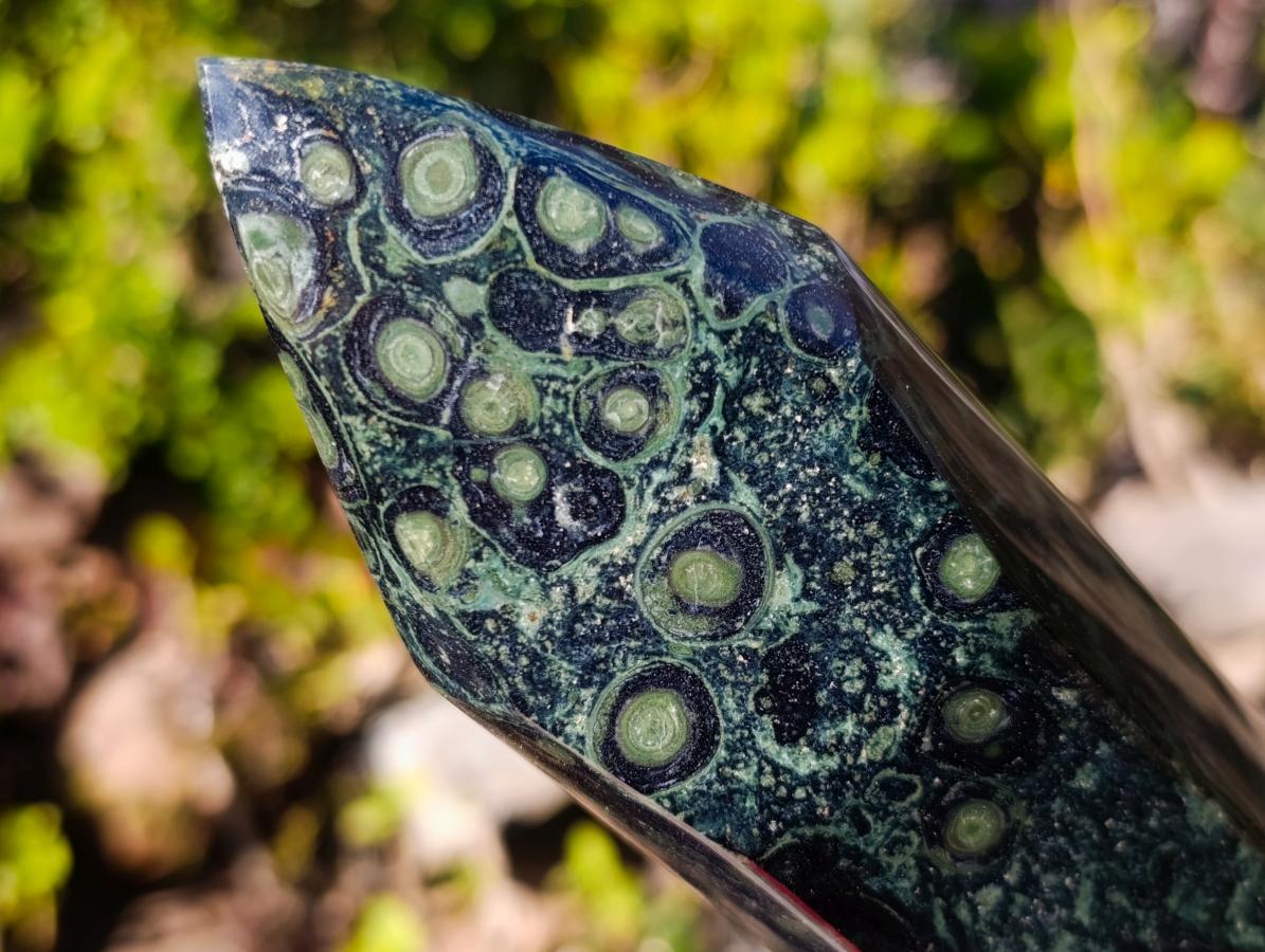 Polished XL Stromatolite "Kambamba Jasper" Display Crystal x 1 From Katsepy, Madagascar