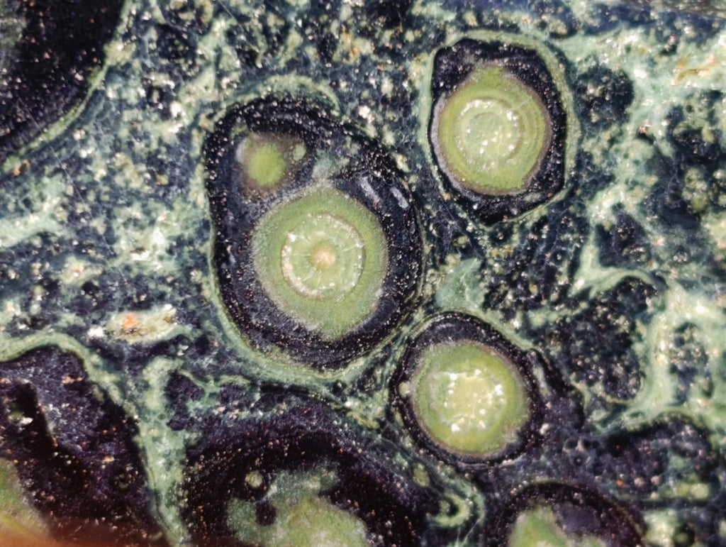 Polished XL Stromatolite "Kambamba Jasper" Display Crystal x 1 From Katsepy, Madagascar