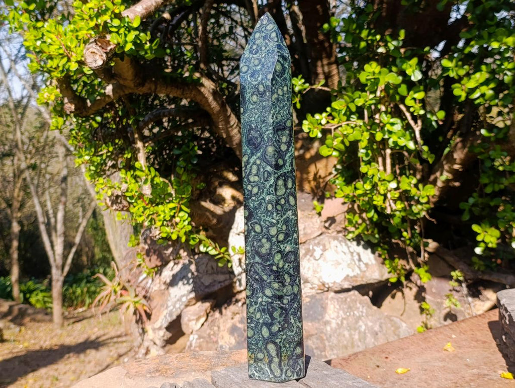 Polished XL Stromatolite "Kambamba Jasper" Display Crystal x 1 From Katsepy, Madagascar
