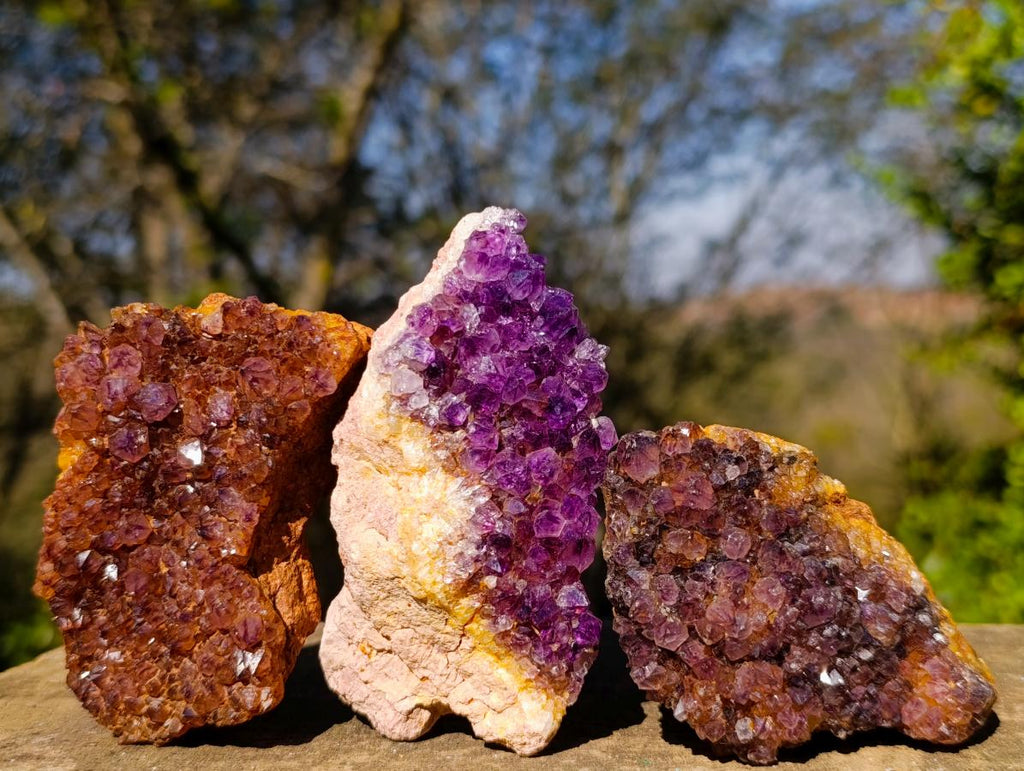 Natural Dark Purple Amethyst Clusters x 12 From Boekenhouthoek, South Africa