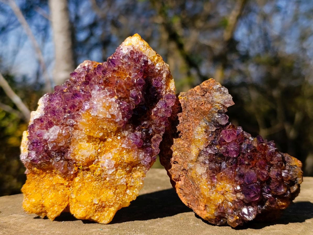 Natural Dark Purple Amethyst Clusters x 12 From Boekenhouthoek, South Africa
