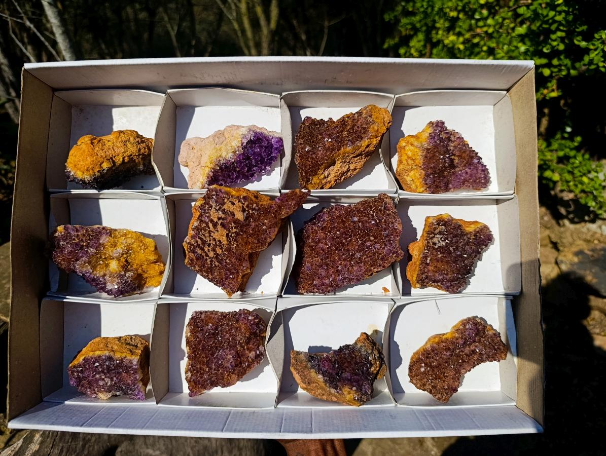 Natural Dark Purple Amethyst Clusters x 12 From Boekenhouthoek, South Africa