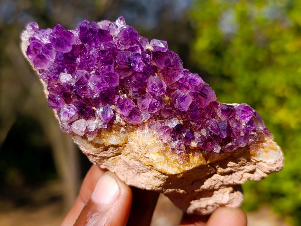 Natural Dark Purple Amethyst Clusters x 12 From Boekenhouthoek, South Africa