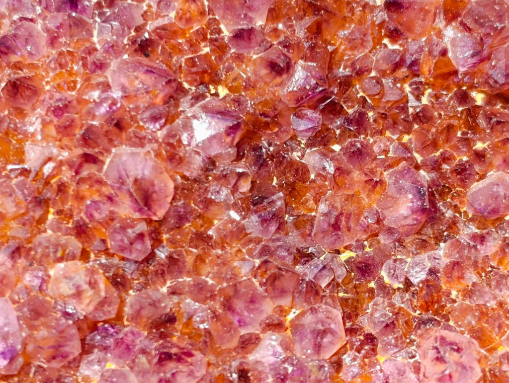 Natural Dark Purple Amethyst Clusters x 12 From Boekenhouthoek, South Africa