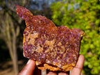 Natural Dark Purple Amethyst Clusters x 12 From Boekenhouthoek, South Africa
