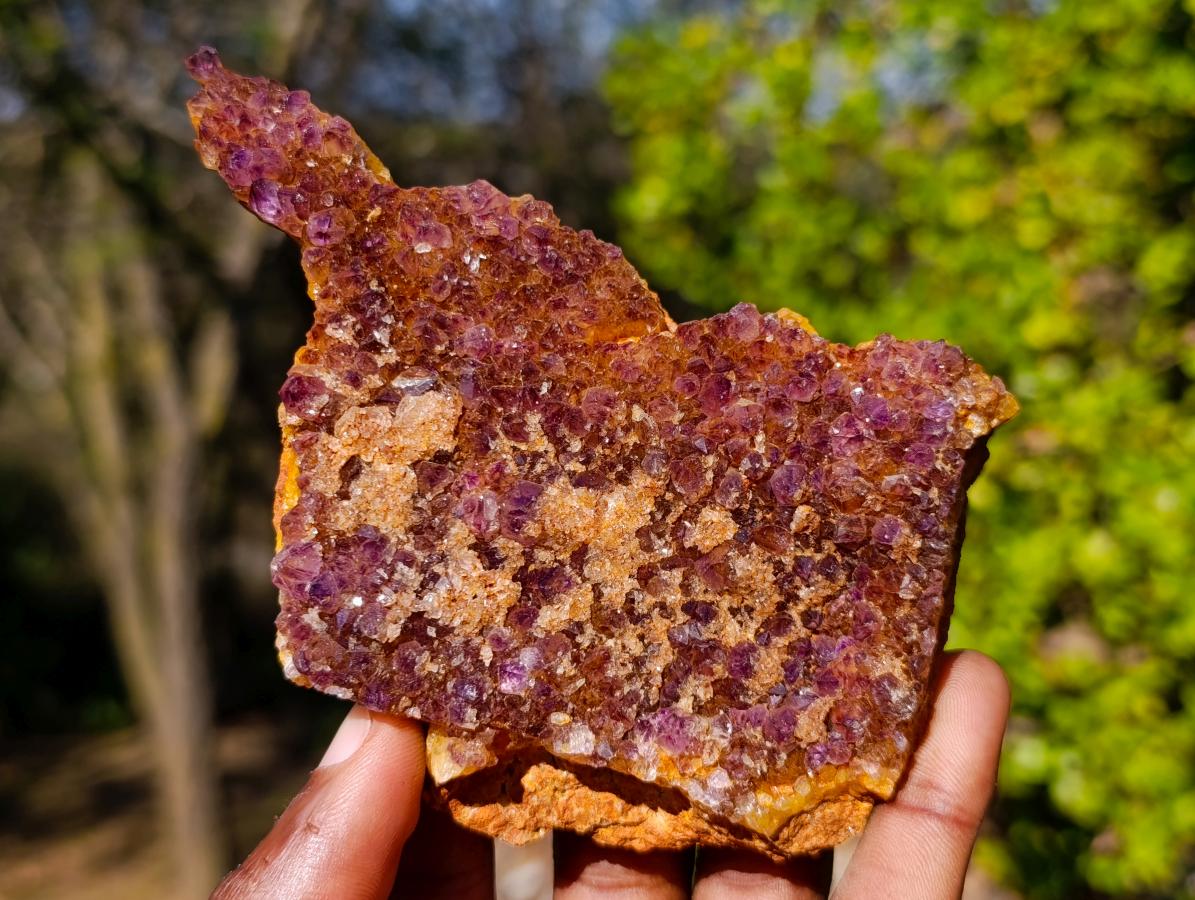 Natural Dark Purple Amethyst Clusters x 12 From Boekenhouthoek, South Africa
