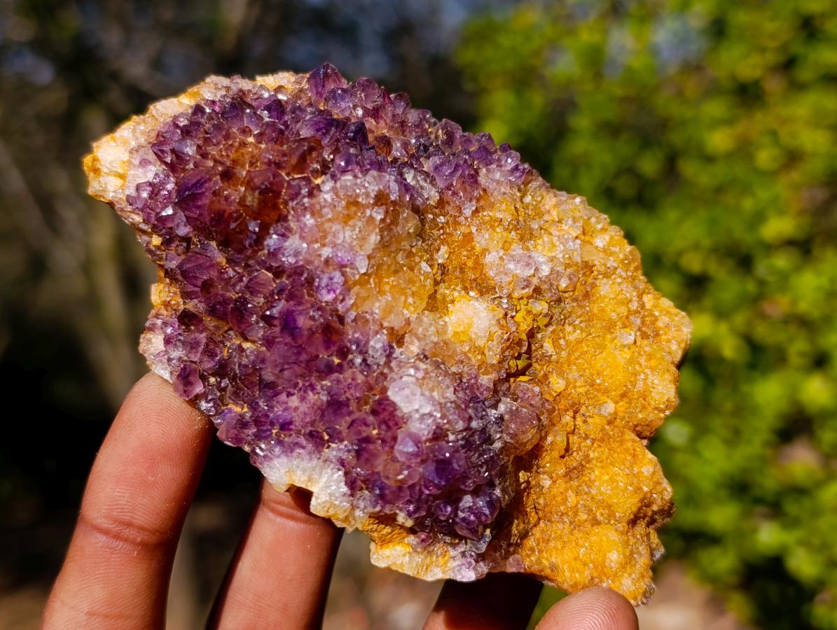 Natural Dark Purple Amethyst Clusters x 12 From Boekenhouthoek, South Africa