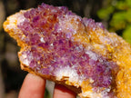 Natural Dark Purple Amethyst Clusters x 12 From Boekenhouthoek, South Africa