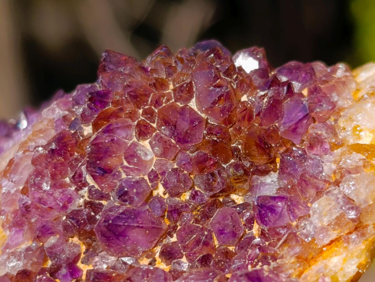 Natural Dark Purple Amethyst Clusters x 12 From Boekenhouthoek, South Africa