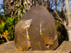 Polished Large Window Quartz Crystal with White Tourmalinated Needle Inclusions x 1 From Madagascar
