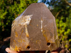 Polished Large Window Quartz Crystal with White Tourmalinated Needle Inclusions x 1 From Madagascar