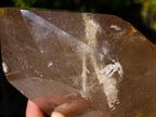 Polished Large Window Quartz Crystal with White Tourmalinated Needle Inclusions x 1 From Madagascar