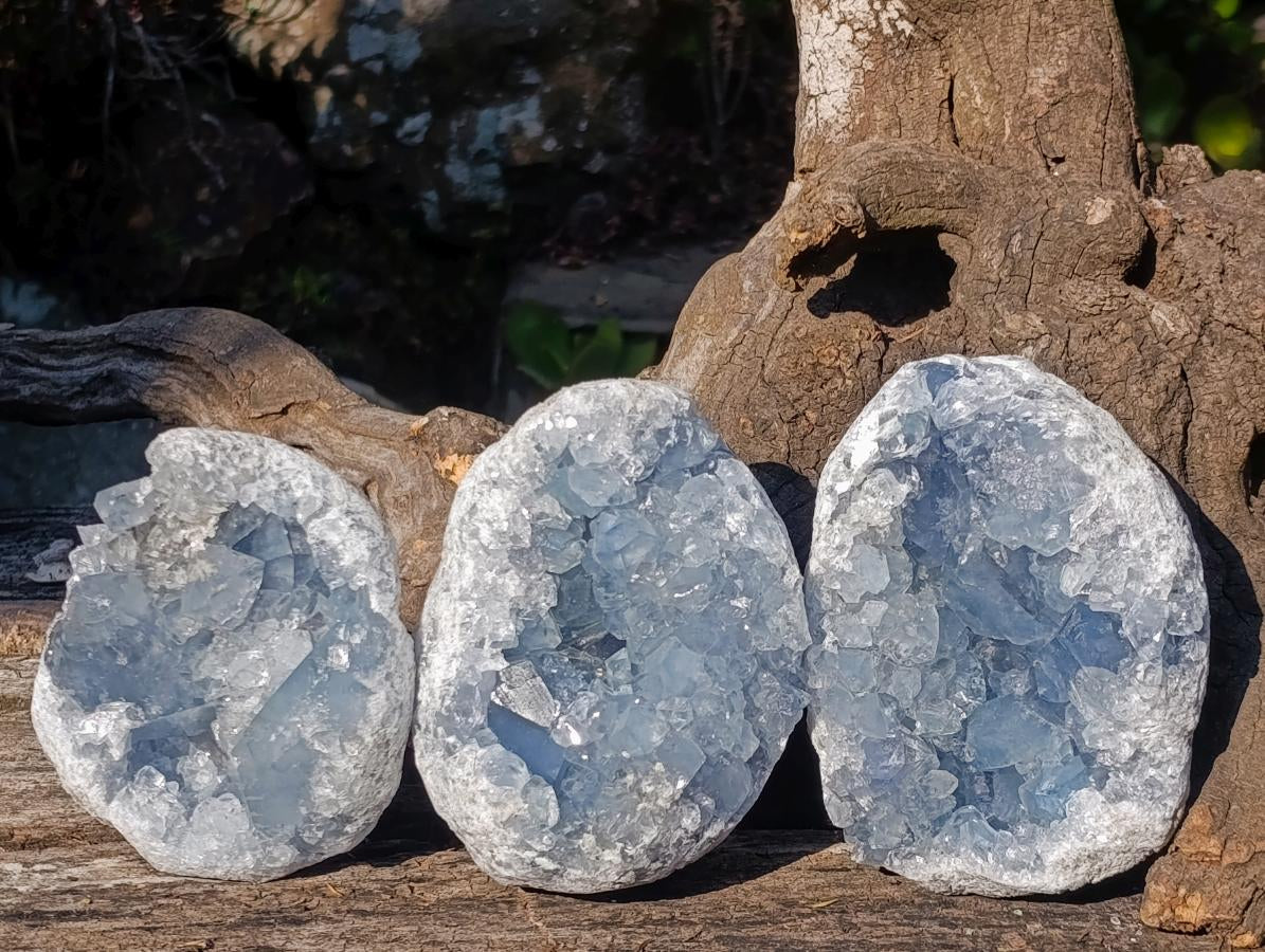 Natural Blue Celestite Geode Specimens x 3 From Sakoany, Madagascar