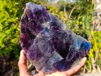 Polished One Side Watermelon Fluorite Slices x 2 From Uis, Namibia